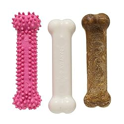 Nylabone Puppy Triple Pack